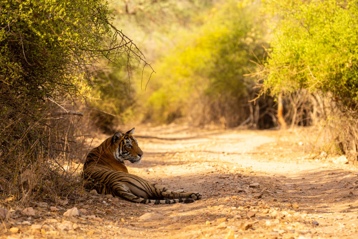 hidden gems in kumbhalgarh